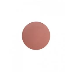 Fard à Joues Tomette ParisAx Professional